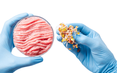 Colour measurement of meat substitute products and their raw materials